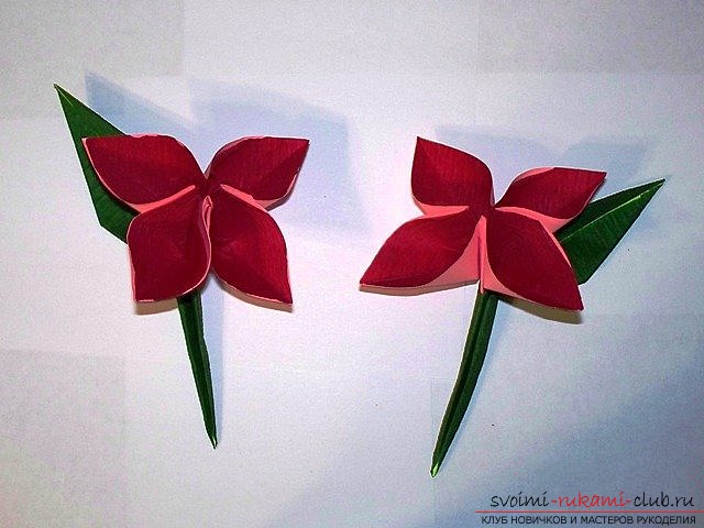 Простой цветок оригами. Фото №22